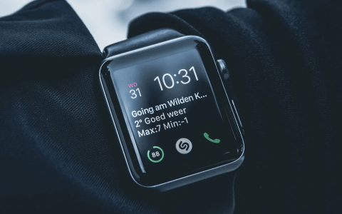 关于苹果WatchOS 7：发布日期、泄露的功能