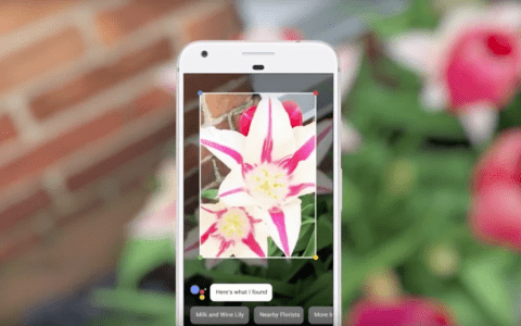Google Lens或许即将获得一些针对教育的更新
