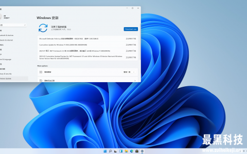 微软发布新的Windows 11内部预览版22000.100